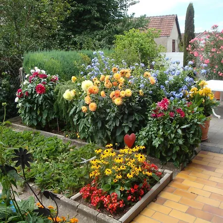 Stumpf Apartment Friesenheim (Baden-Wurttemberg)