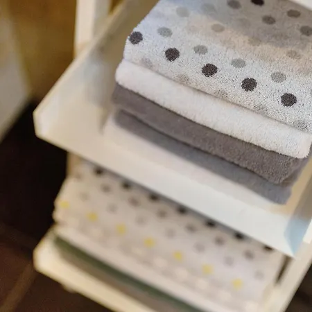 Stumpf Apartment Friesenheim (Baden-Wurttemberg)